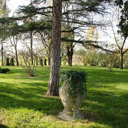 Podere San Giuliano Villa ซานลาซโซโร ดี ซาเวนา ภายนอก รูปภาพ