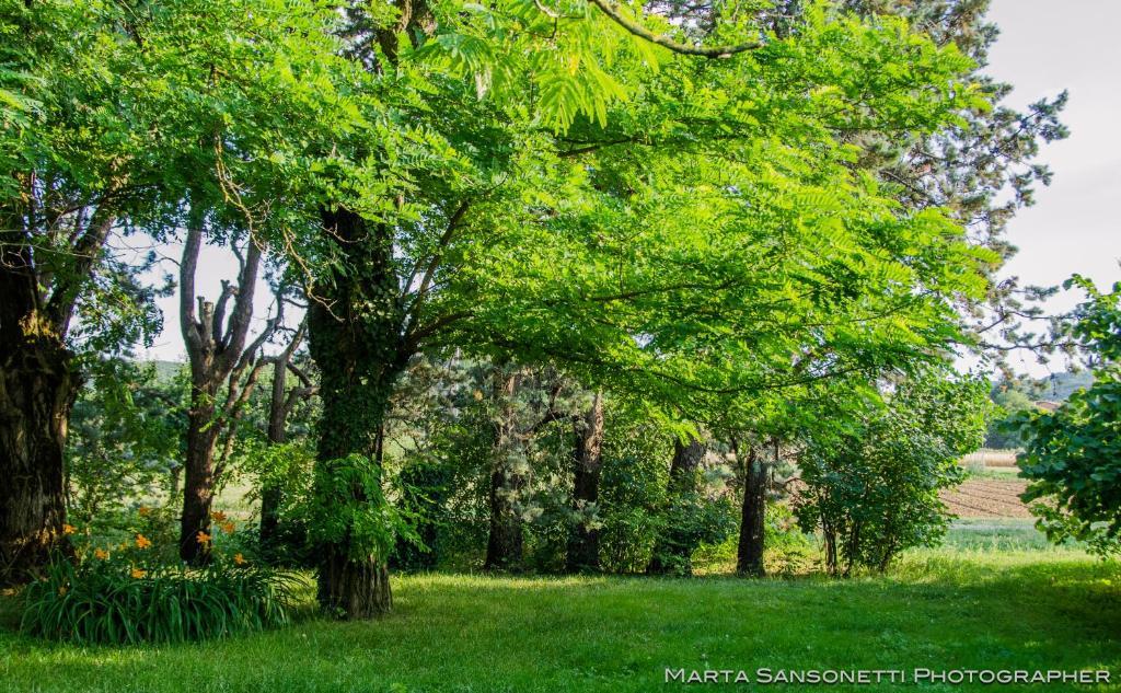 Podere San Giuliano Villa ซานลาซโซโร ดี ซาเวนา ภายนอก รูปภาพ